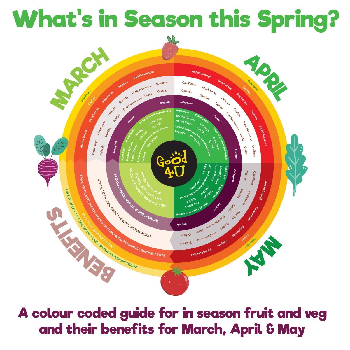 Fruit & Veg Seasonal Calendar Good4U Online