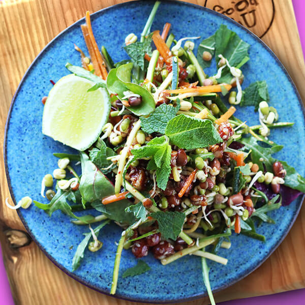 Asian Style Peanut & Sprout Salad