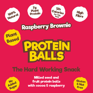 Raspberry Brownie Protein Balls